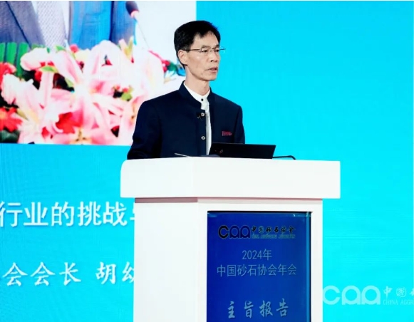 胡会长进行主旨报告